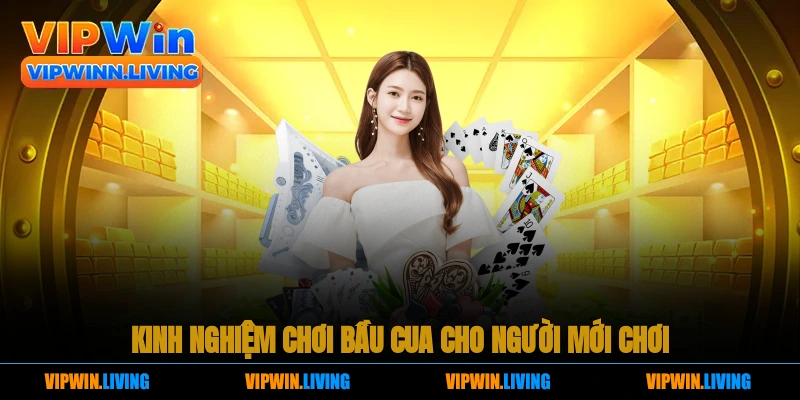 Kinh Nghiệm Chơi Bầu Cua Online Hiệu Quả, An Toàn Cùng Các Chuyên Gia 3 Kinh nghiệm chơi bầu cua cho người mới chơi